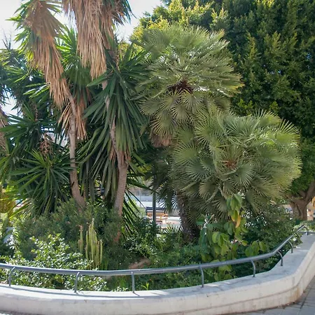 Pansiyon Plaza De Toro Studio